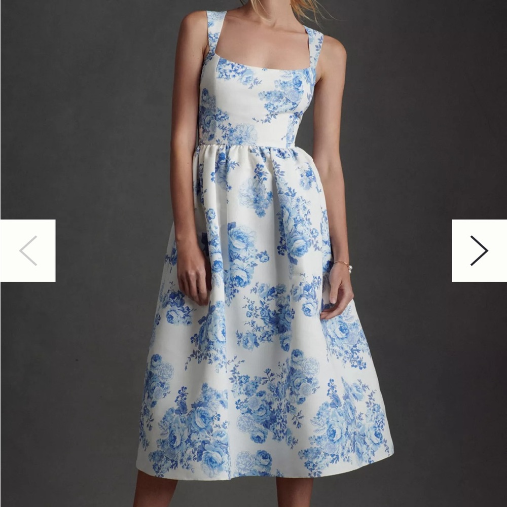 Sachin & Babi dress from Anthropologie